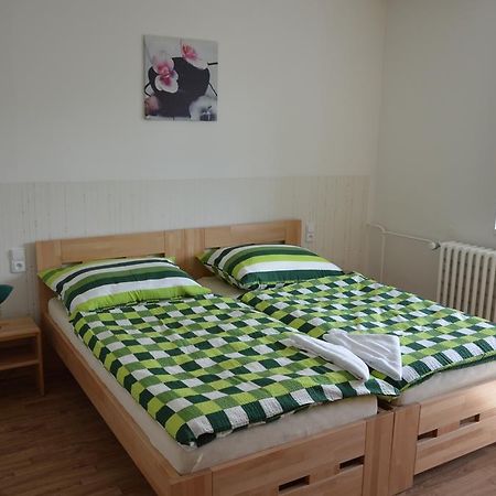 Penzion Havelka Apartmany Železná Ruda Exterior foto